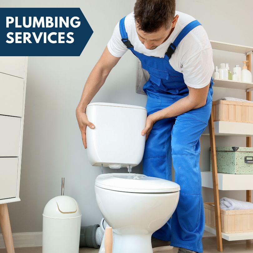 Plumbing Company in Hillview, IL